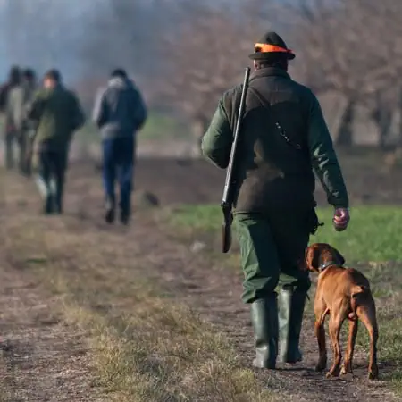 Fasanjakt Norrbotten Brittisk fågeljakt